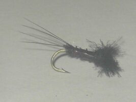 Cdc biot spinner black fly