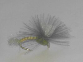 Cdc foam parachute olive