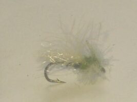 Cdc midge adult gray olive