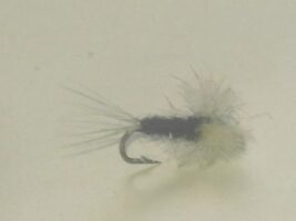 Black and White CDC Spinner