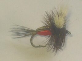Royal Humpy dry fly
