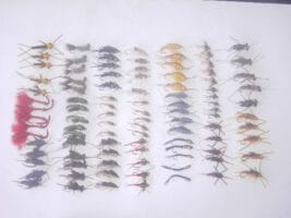 100 Assorted stoneflies