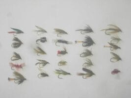 25 Assorted wet fly fishing flies