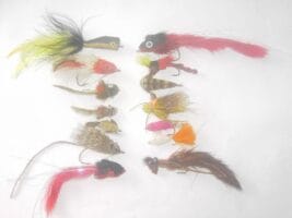 75 Assorted bass bug fly fishing flies