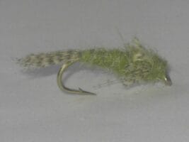 AP Olive Nymph