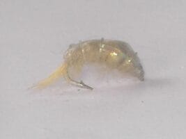 Beadhead Body Scud Tan Nymph