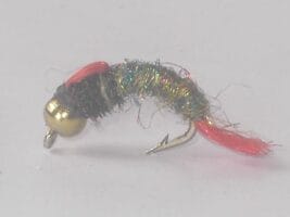 B.h heavy nymph fl pink