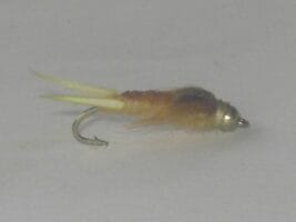 Latex Beadhead Stonefly Nymph