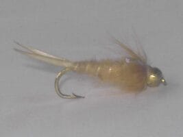 BH Tan Nymph