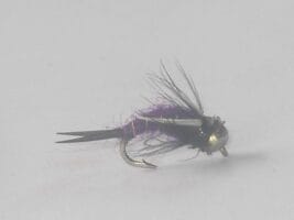 Beadhead Purple Prince Nymph