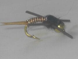 Bead Head Rubber Leg Copper Nymph