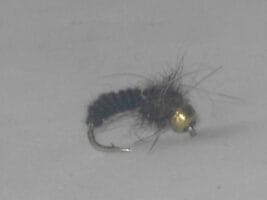 brown Bh Serendipity