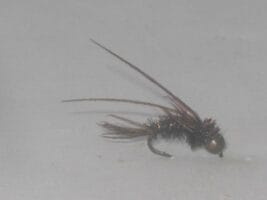 Beadhead Swimming Peacock Nymph