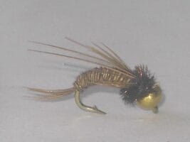 Beadhead Swimming Pheasant Tail