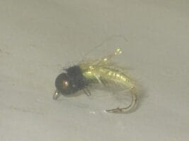 Bead Head raider Nymph