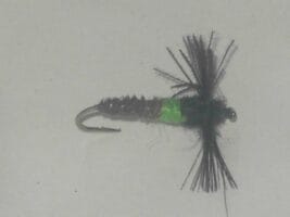 Cassed Caddis nymph