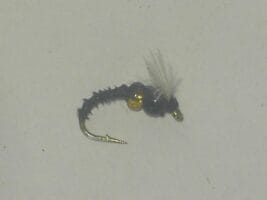 Cassed caddis scud