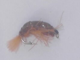 brown CDC Scud fishing fly