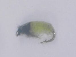 Czech nymph 5