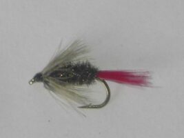 Red hackle peacock wet fly