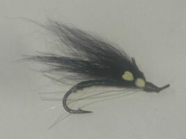 Black Night Fly