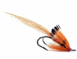 Ally's Shrimp Orange Glow Butt Salmon Fly