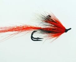 Ally's Shrimp Red fly