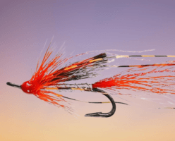 Ally's Shrimp Silver Double Salmon Fly