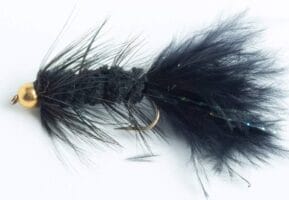 Bead Head Wooly Bugger fly