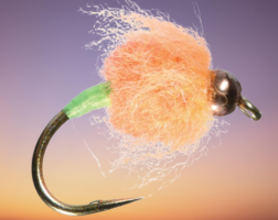 Beadhead Egg Veil fly