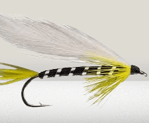 Black Ghost Streamer Fly