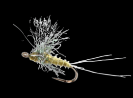 Blue Winged Olive, Bunny fly