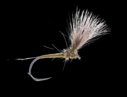 Blue Winged Olive, CDC fly