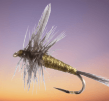 Blue Winged Olive, Para Wulff fly