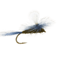 Blue Winged Olive Parachute Dun Post mayfly