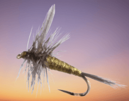 Blue Winged Olive Traditional