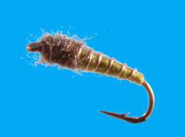 Caddis Pupa, Electric, Olive fly