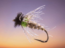 Chatreuse Peeking Caddis Fly