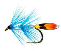 Delphi Blue Sea Trout