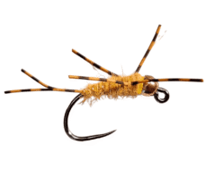 Dirty Hipster Golden Stone Fly nymph