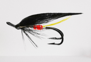 Editor Tail Friggi Salmon Fly