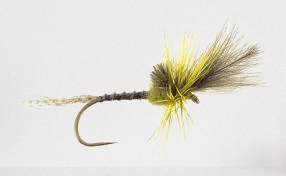 Green Drake Cripple Dry May Fly