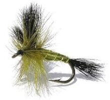 Green Drake Wulff mayfly