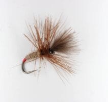 Grunter Original Fly