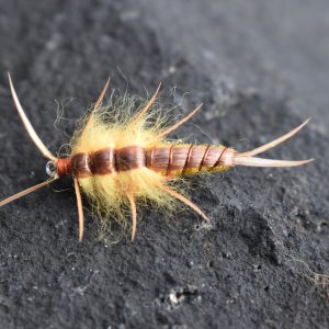 Hellgramite yellow fly