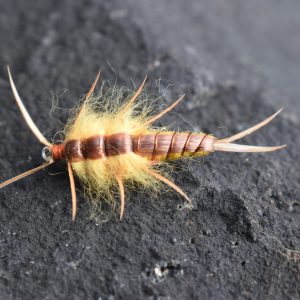 Hellgramite yellow fly
