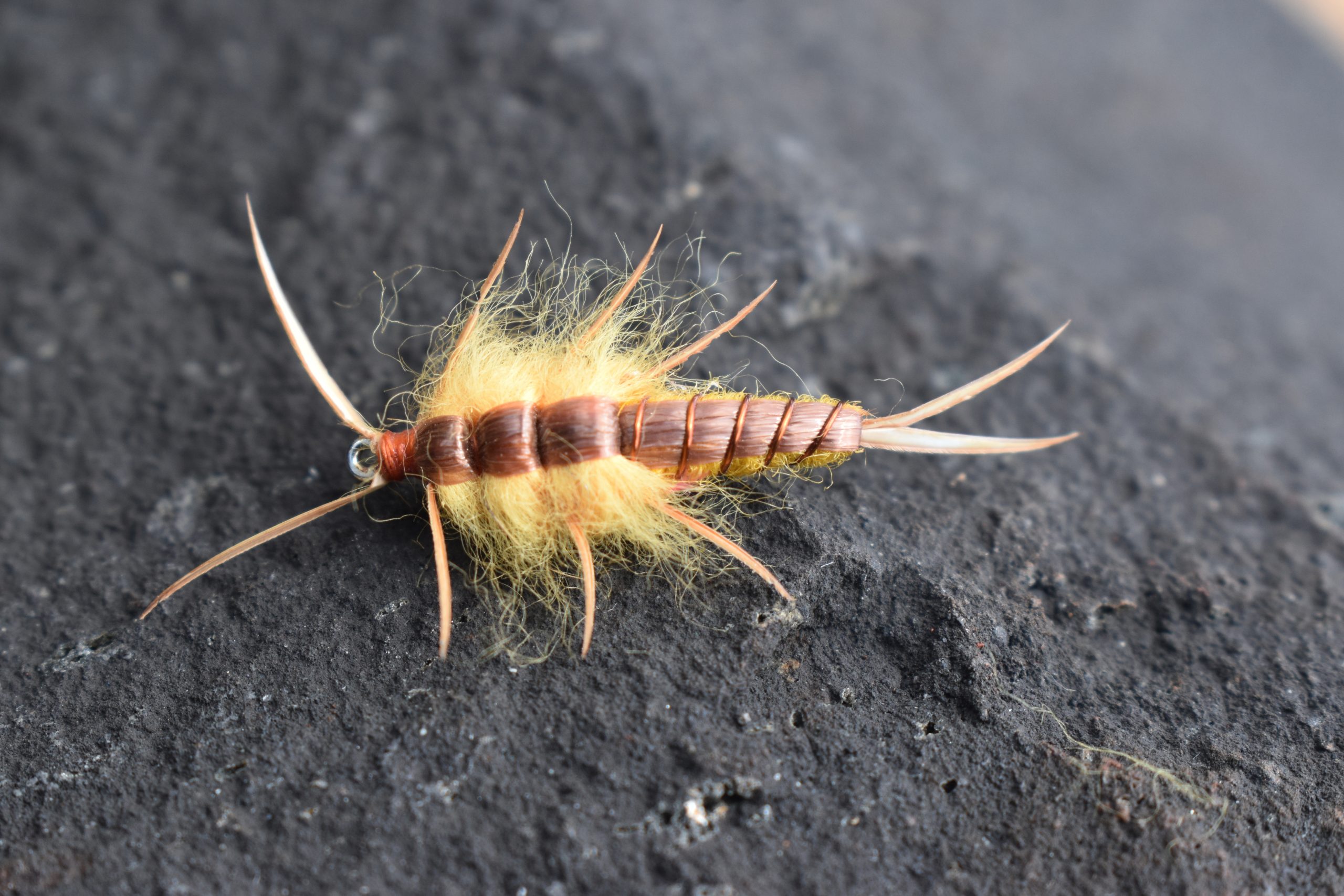 Hellgramite yellow fly