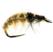 Heptagenid Stonefly Nymph