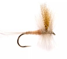 Light Hendrickson Mayfly