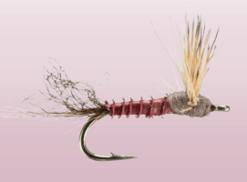 Mahogany Dun, sparkle mayfly
